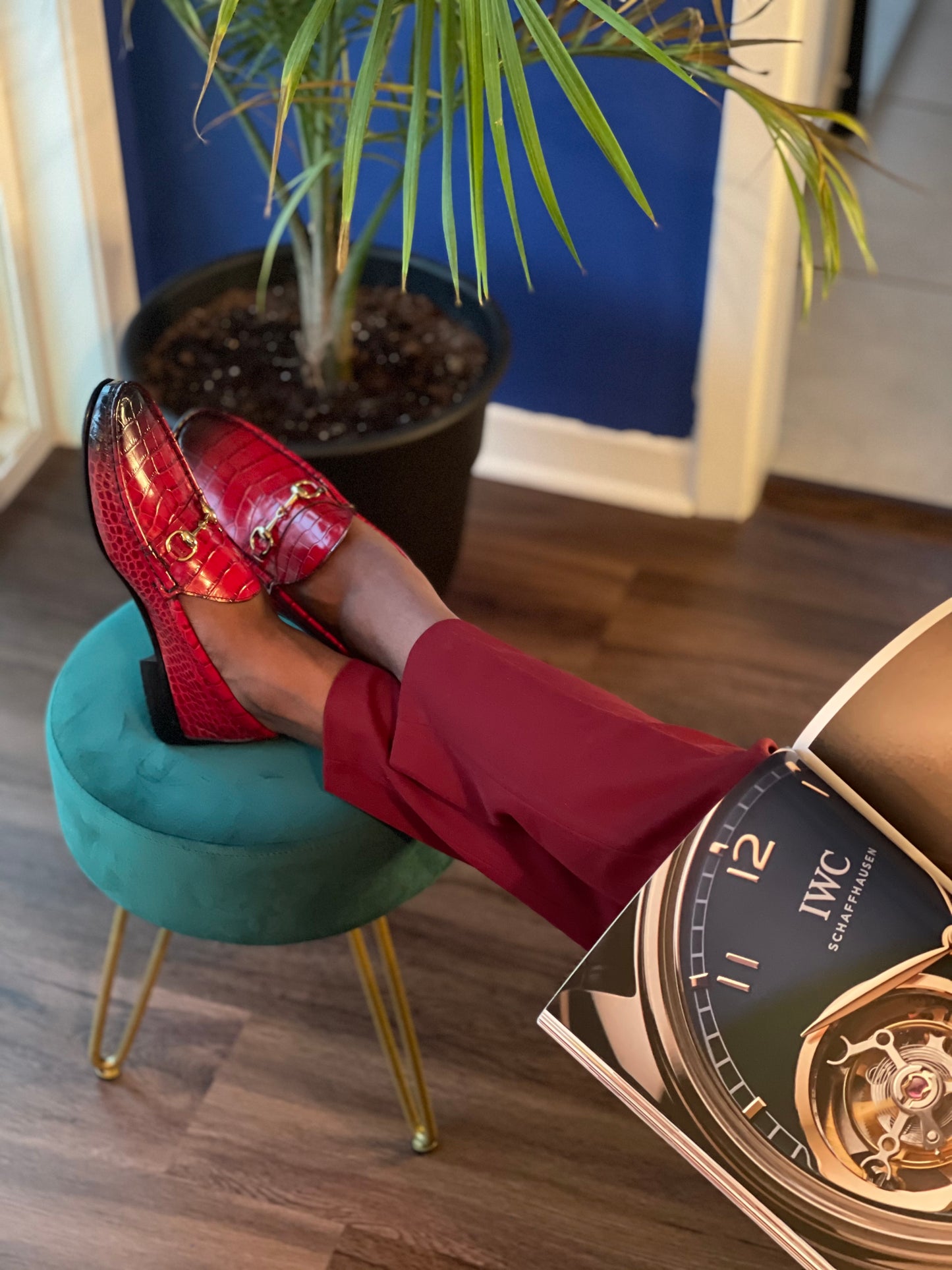 𝐏𝐑𝐄𝐌𝐈𝐔𝐌 𝐂𝐑𝐎𝐂𝐎𝐃𝐈𝐋𝐄 𝐒𝐊𝐈𝐍 𝐇𝐎𝐑𝐒𝐄-𝐁𝐈𝐓